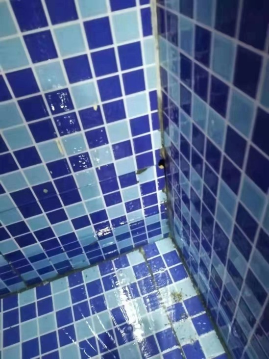 免砸轉透明防水膠施工方法